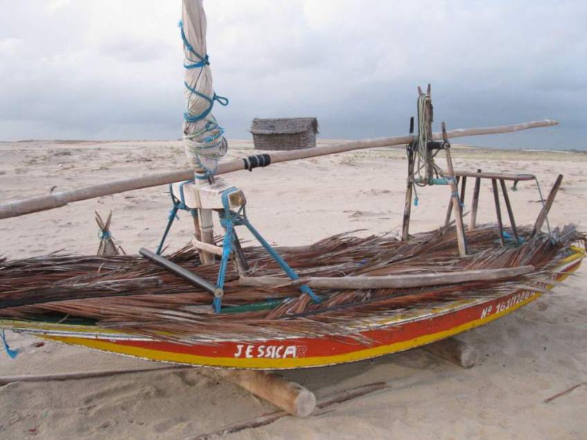 A jangada named Jessica on the beach with its deck covered with palm fronds to protect the wood from the hot sun.