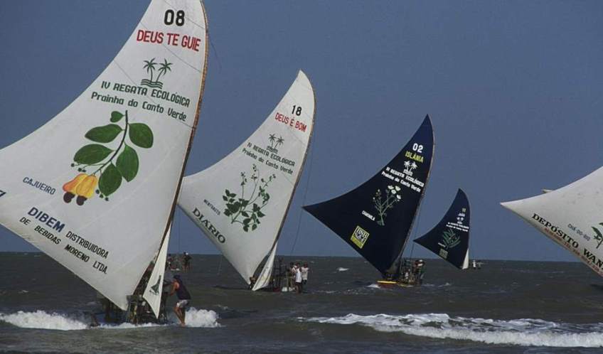 Several jangadas returning to the beach on the last leg of a race. First one to the beach wins.