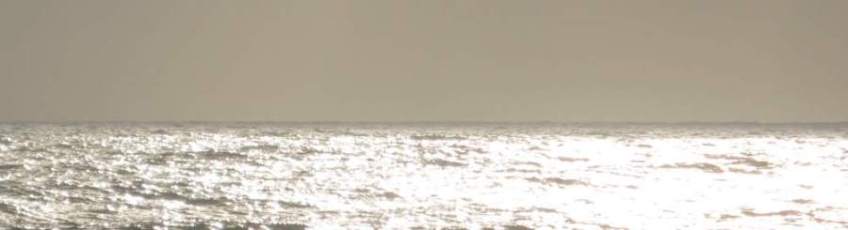 Picture series of two men leaving the beach on a paquete.