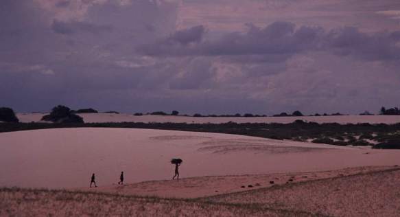 A man and two boys walking across the dunes.