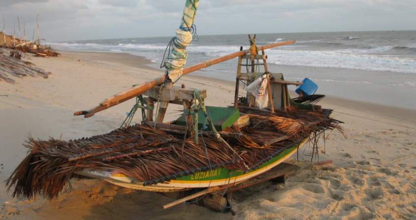 A beached jangada with its deck covered with palm fronds to protect against the sun.