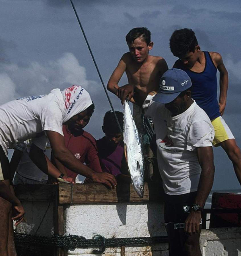 Jangadeiros removing fish from the icebox.